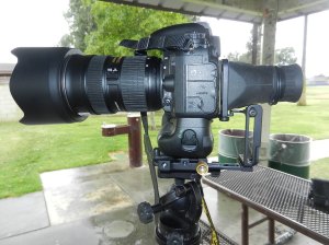 lateral view of complete assembly on tripod, with D600