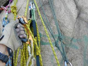 Thanks Petzl for the great ascenders!  I also like the Black Diamond N-Force but they're a little more effort to slide up ropes...