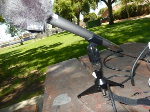 AT 8004L dynamic mic on stand_3 ft XLR