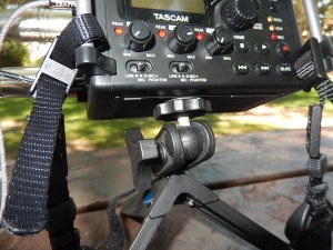 REI Ultrapod supporting Tascam DR-60D DAR