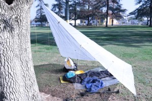 sm file_ FD mode_ oblique view