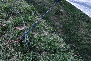 sm file_detail view_ hitches on line