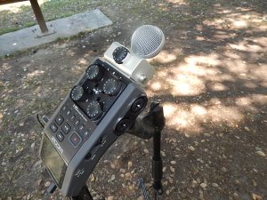 MS (mid-side) microphone capsule option on Zoom H6 DAR