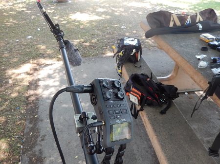 Zoom H6 installed on boom pole